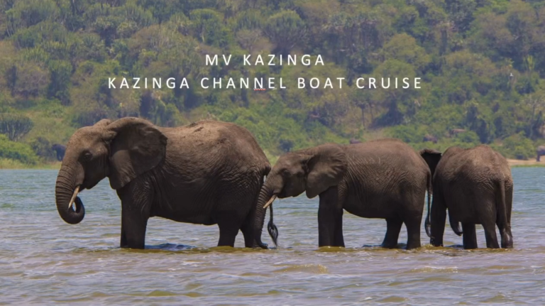 Screenshot MV Kazinga video