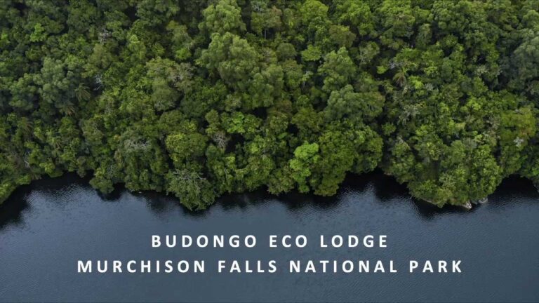 Screenshot video tour of Budongo Eco Lodge